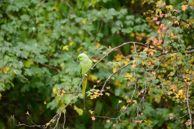 DSC_0492 (Large).JPG